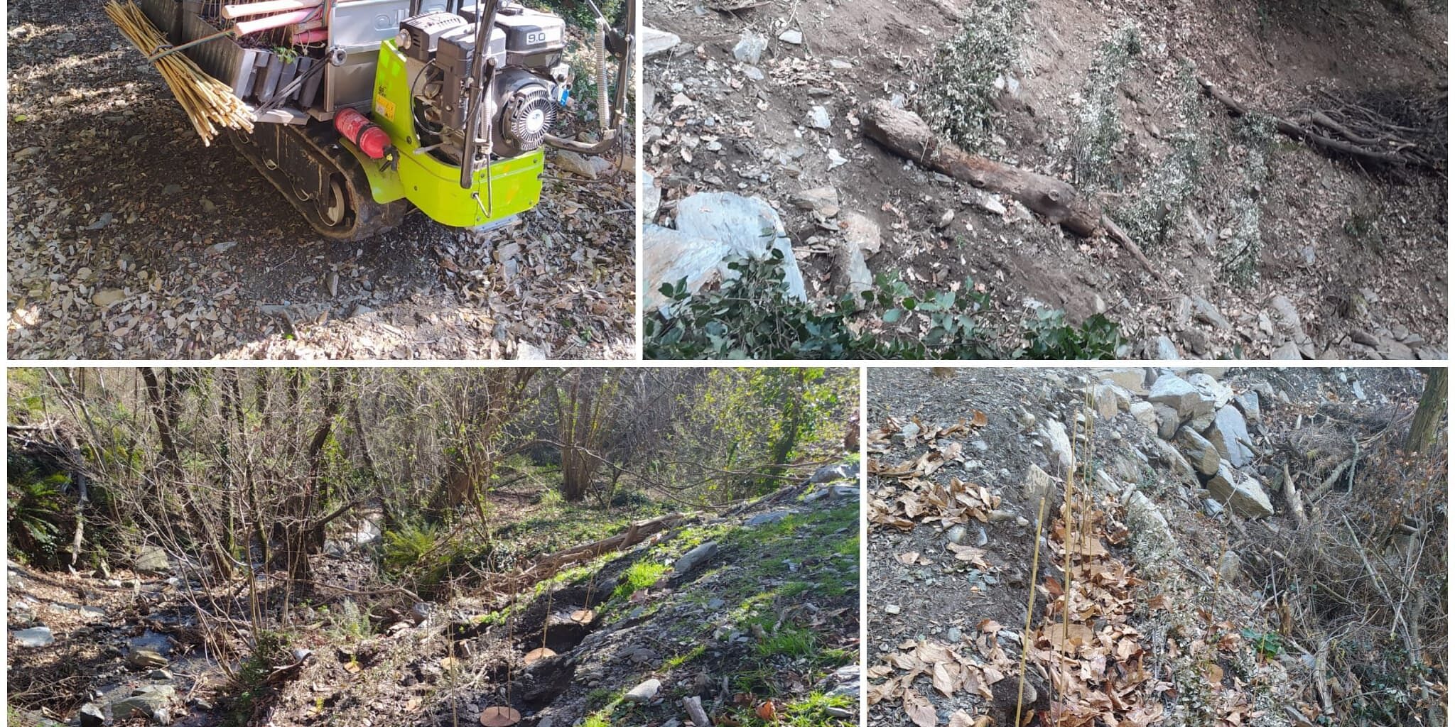 Continuem amb el porjecte Life Tritó!