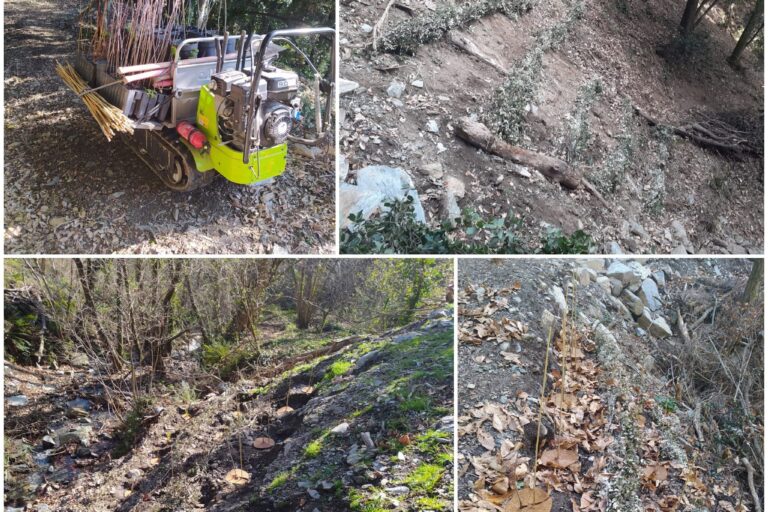 Continuem amb el porjecte Life Tritó!